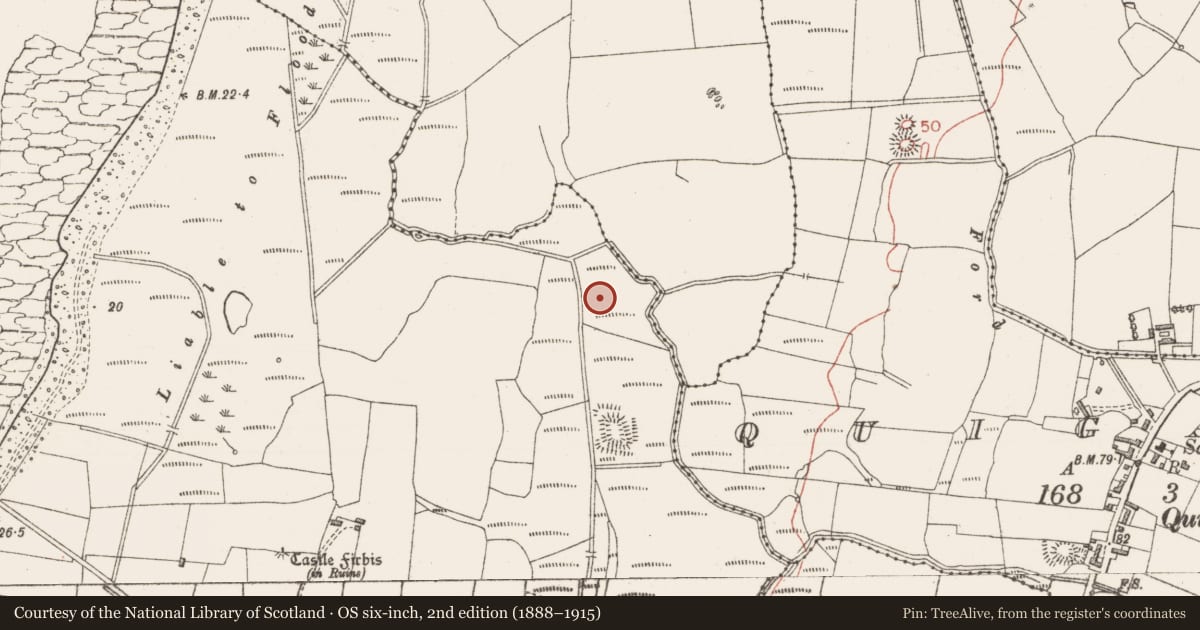 Ordnance Survey six-inch map, 2nd edition (1888–1915) covering the location of Fulacht fia, Lackan, County Sligo, with a pin at the register's coordinates