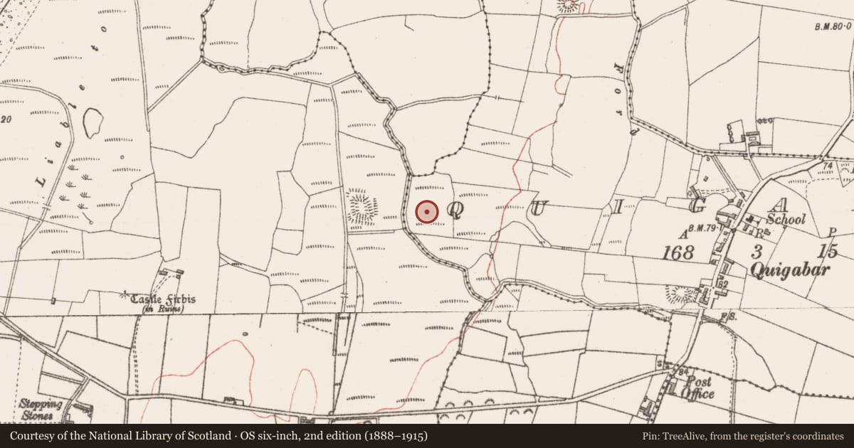 Ordnance Survey six-inch map, 2nd edition (1888–1915) covering the location of Enclosure, Quigaboy, County Sligo, with a pin at the register's coordinates