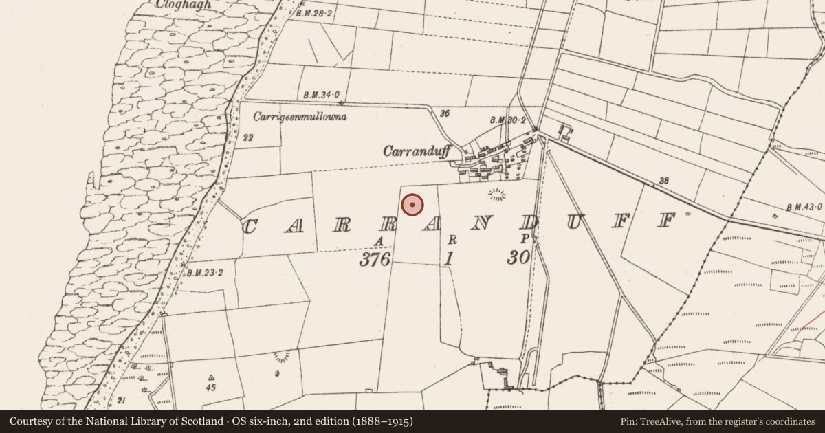Ordnance Survey six-inch map, 2nd edition (1888–1915) covering the location of Souterrain, Carranduff, County Sligo, with a pin at the register's coordinates