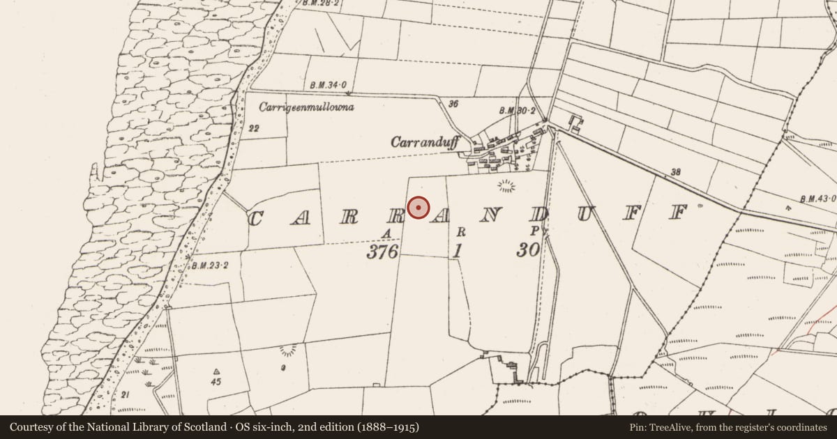 Ordnance Survey six-inch map, 2nd edition (1888–1915) covering the location of Mound, Carranduff, County Sligo, with a pin at the register's coordinates