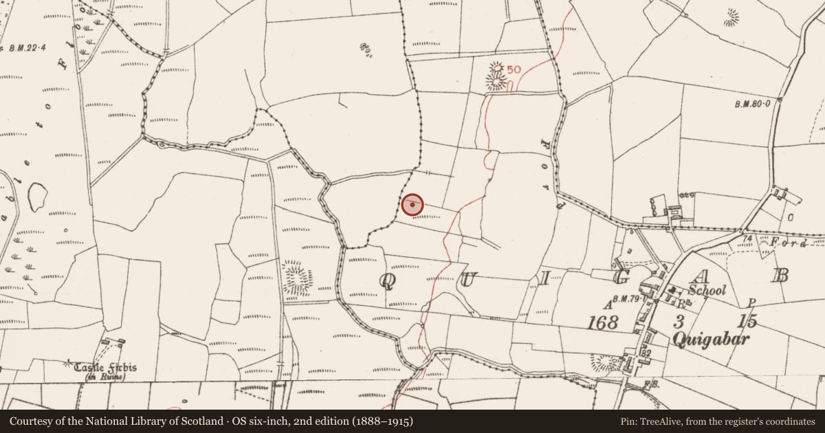 Ordnance Survey six-inch map, 2nd edition (1888–1915) covering the location of Enclosure, Quigabar, County Sligo, with a pin at the register's coordinates