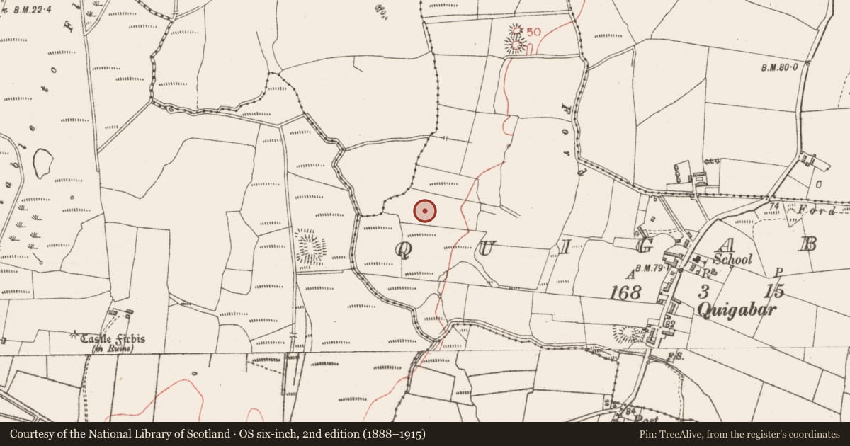 Ordnance Survey six-inch map, 2nd edition (1888–1915) covering the location of Enclosure, Quigabar, County Sligo, with a pin at the register's coordinates