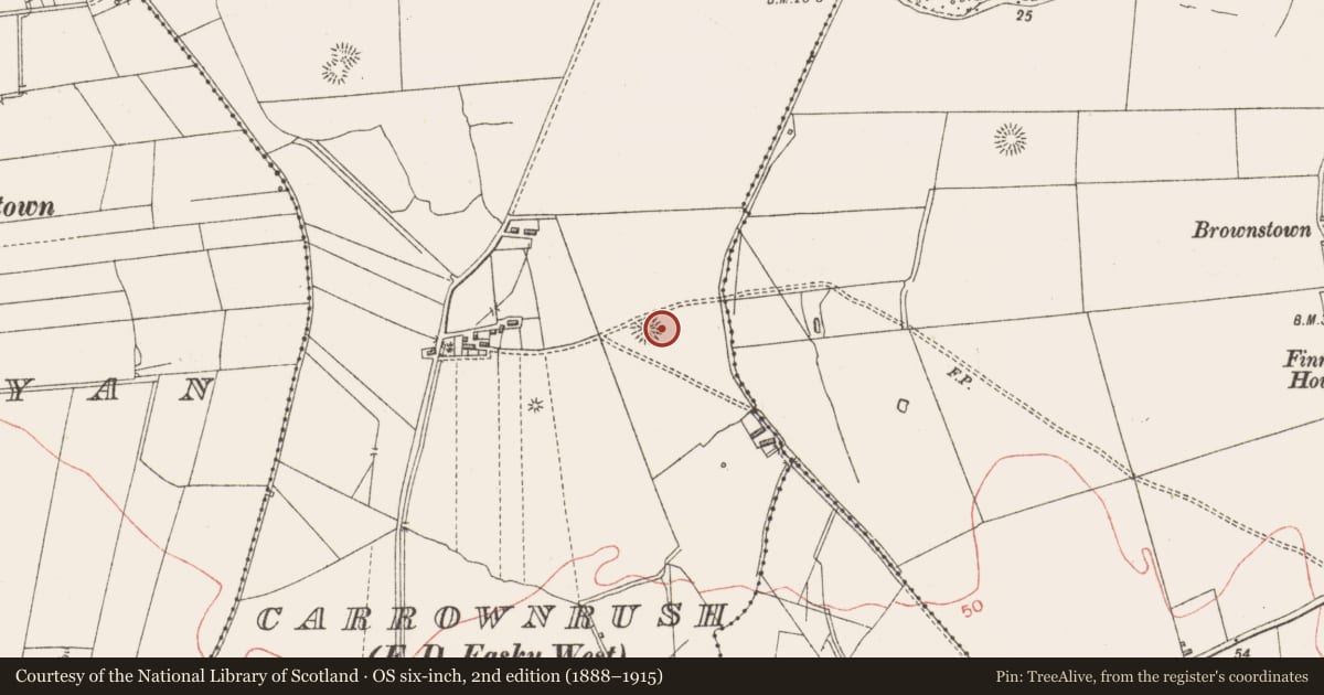 Ordnance Survey six-inch map, 2nd edition (1888–1915) covering the location of Souterrain, Carrownrush, County Sligo, with a pin at the register's coordinates