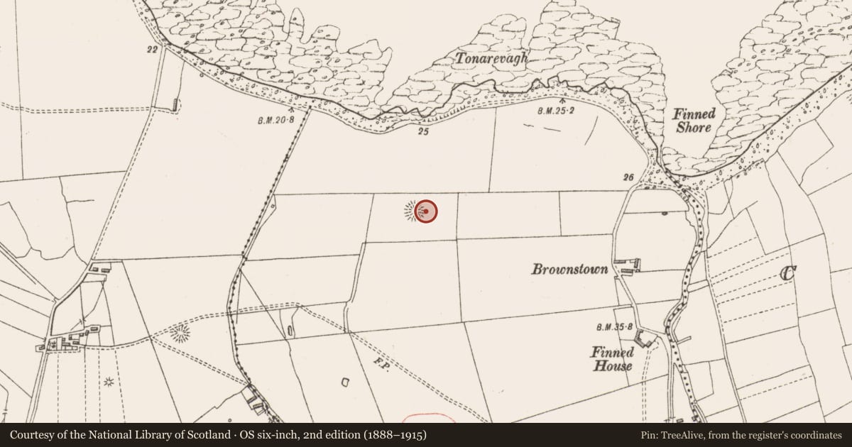 Ordnance Survey six-inch map, 2nd edition (1888–1915) covering the location of Ringfort - rath, Finned, County Sligo, with a pin at the register's coordinates