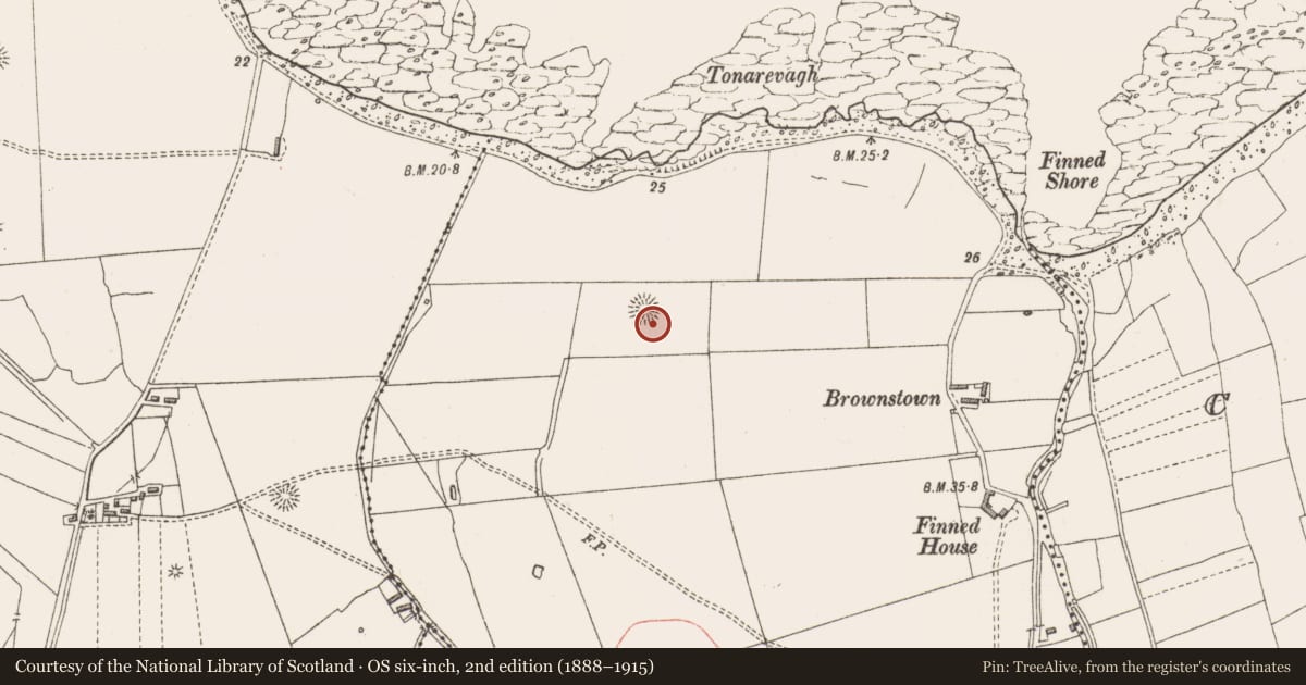 Ordnance Survey six-inch map, 2nd edition (1888–1915) covering the location of Structure, Finned, County Sligo, with a pin at the register's coordinates