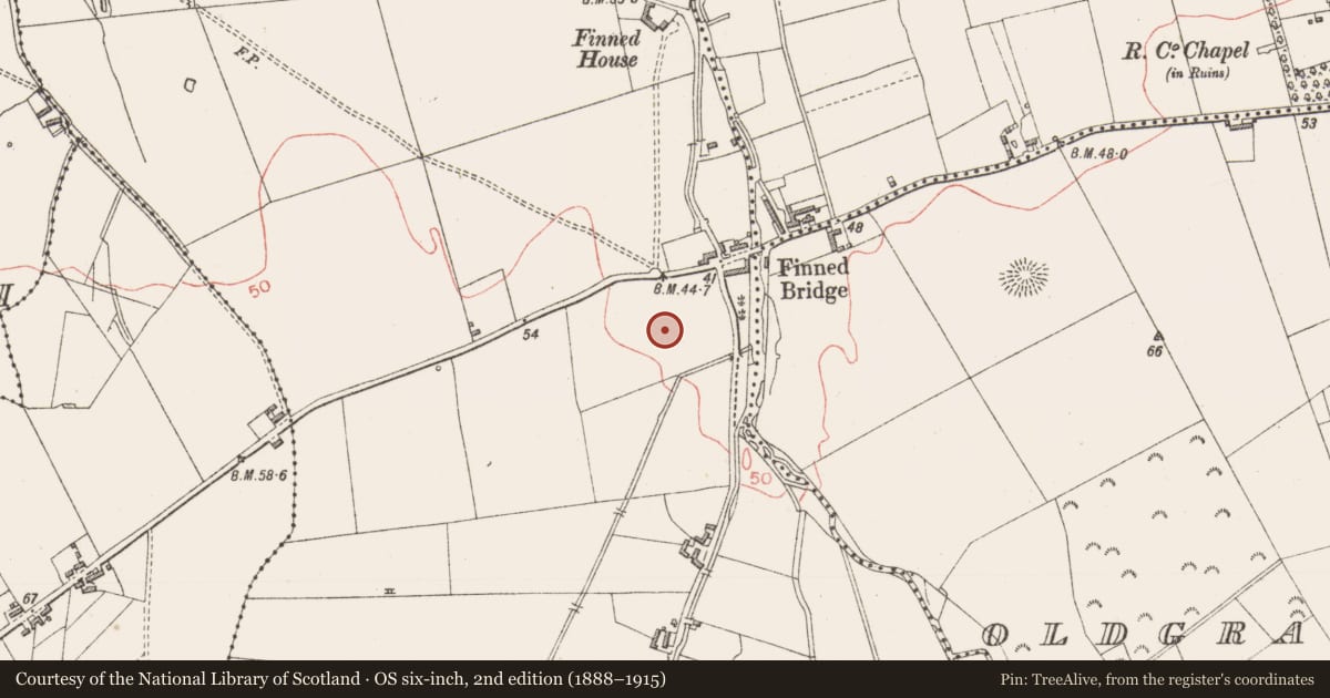 Ordnance Survey six-inch map, 2nd edition (1888–1915) covering the location of Field system, Finned, County Sligo, with a pin at the register's coordinates
