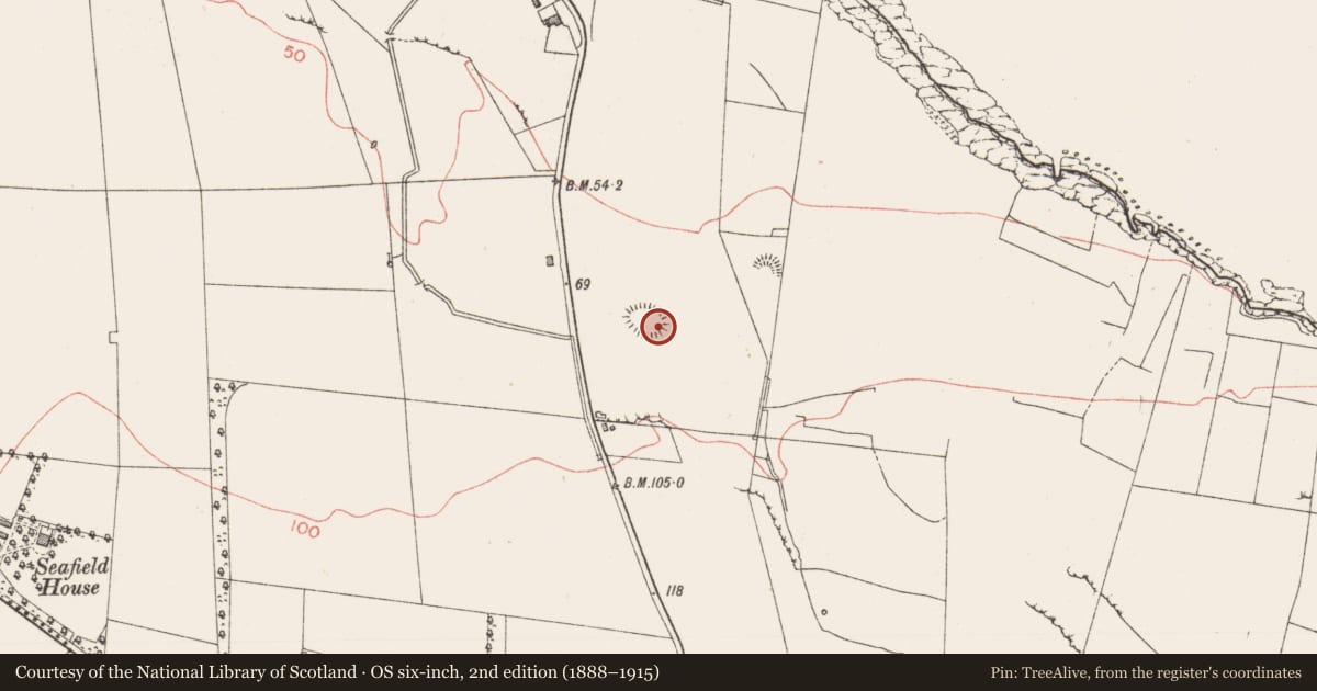 Ordnance Survey six-inch map, 2nd edition (1888–1915) covering the location of Enclosure, Killeenduff, County Sligo, with a pin at the register's coordinates