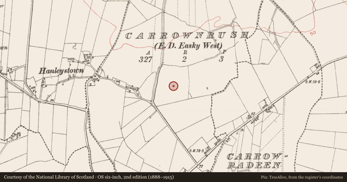 Ordnance Survey six-inch map, 2nd edition (1888–1915) covering the location of Standing stone, Carrownrush, County Sligo, with a pin at the register's coordinates