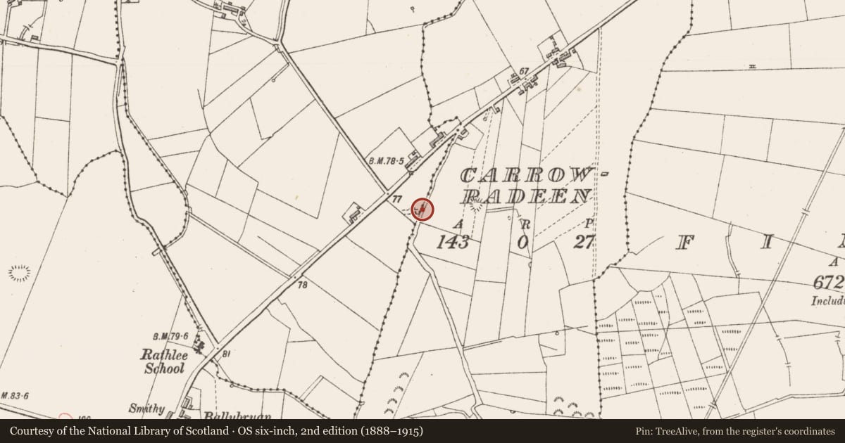 Ordnance Survey six-inch map, 2nd edition (1888–1915) covering the location of Megalithic tomb - wedge tomb, Carrownrush, County Sligo, with a pin at the register's coordinates