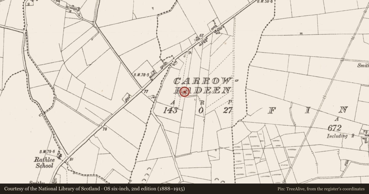Ordnance Survey six-inch map, 2nd edition (1888–1915) covering the location of Megalithic tomb - wedge tomb, Carrowpadeen, County Sligo, with a pin at the register's coordinates