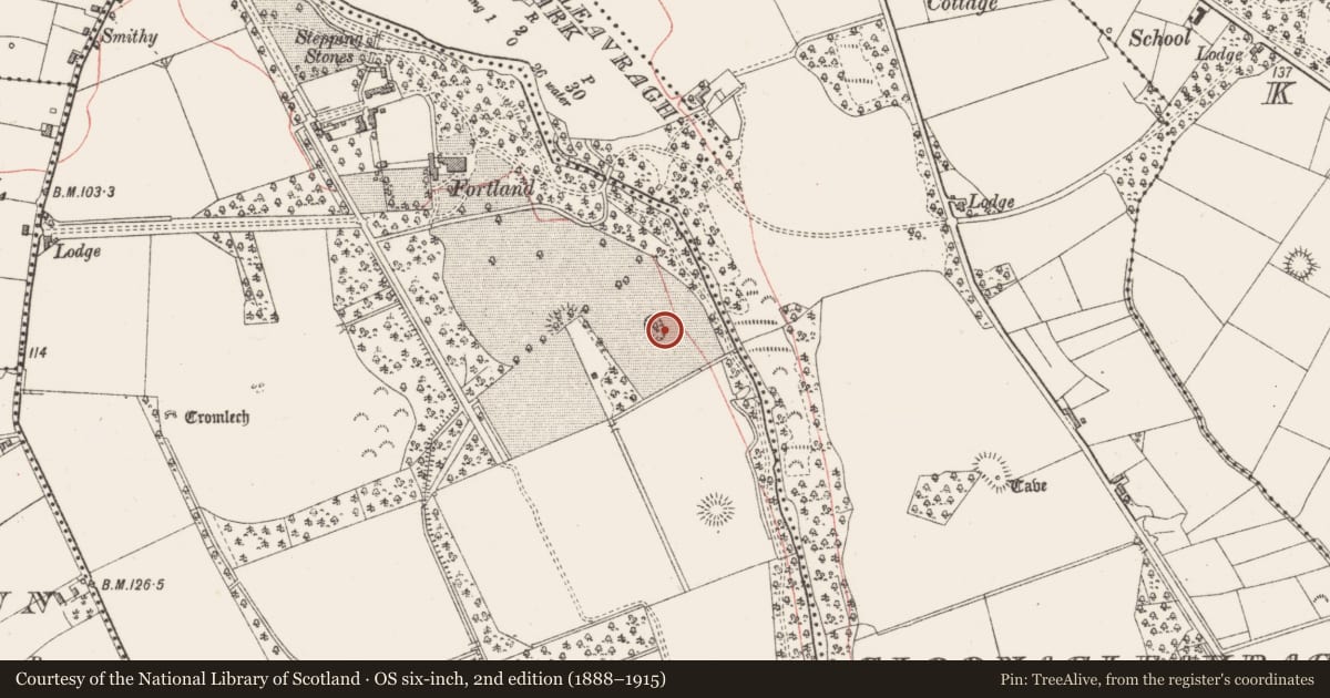 Ordnance Survey six-inch map, 2nd edition (1888–1915) covering the location of Ringfort - rath, Fortland, County Sligo, with a pin at the register's coordinates