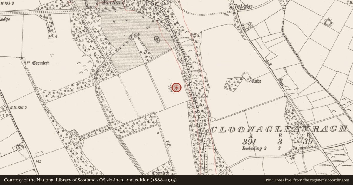 Ordnance Survey six-inch map, 2nd edition (1888–1915) covering the location of Ringfort - rath, Fortland, County Sligo, with a pin at the register's coordinates