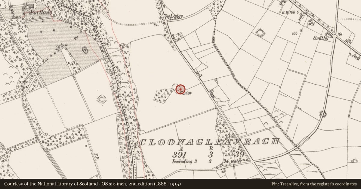 Ordnance Survey six-inch map, 2nd edition (1888–1915) covering the location of Enclosure, Cloonagleavragh, County Sligo, with a pin at the register's coordinates