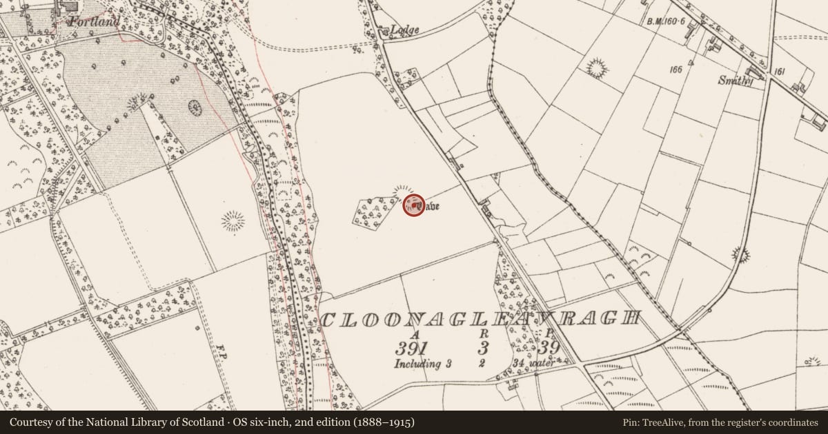 Ordnance Survey six-inch map, 2nd edition (1888–1915) covering the location of Souterrain, Cloonagleavragh, County Sligo, with a pin at the register's coordinates