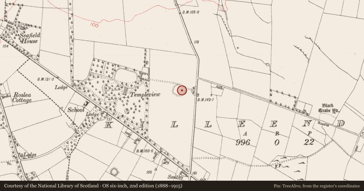 Ordnance Survey six-inch map, 2nd edition (1888–1915) covering the location of Ringfort - rath, Killeenduff, County Sligo, with a pin at the register's coordinates