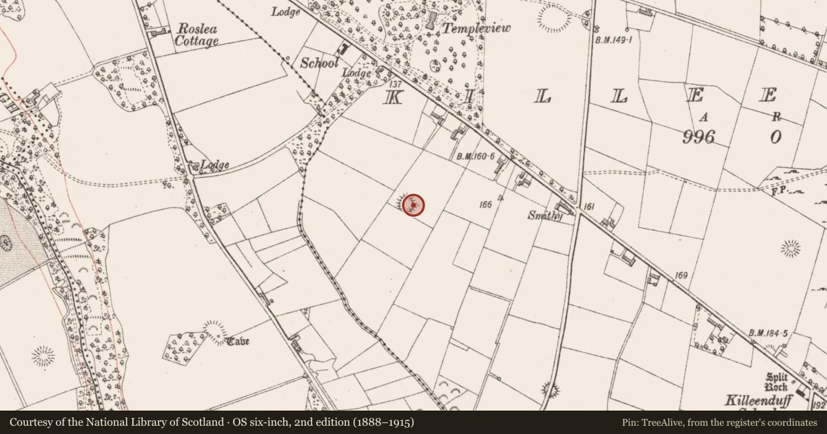 Ordnance Survey six-inch map, 2nd edition (1888–1915) covering the location of Souterrain, Killeenduff, County Sligo, with a pin at the register's coordinates
