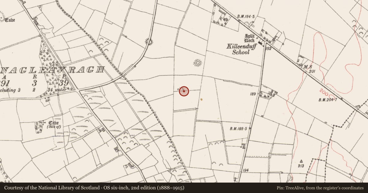 Ordnance Survey six-inch map, 2nd edition (1888–1915) covering the location of Enclosure, Killeenduff, County Sligo, with a pin at the register's coordinates