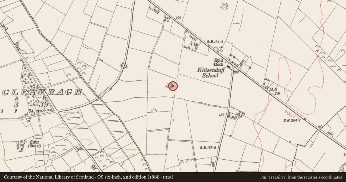 Ordnance Survey six-inch map, 2nd edition (1888–1915) covering the location of Ringfort - rath, Killeenduff, County Sligo, with a pin at the register's coordinates