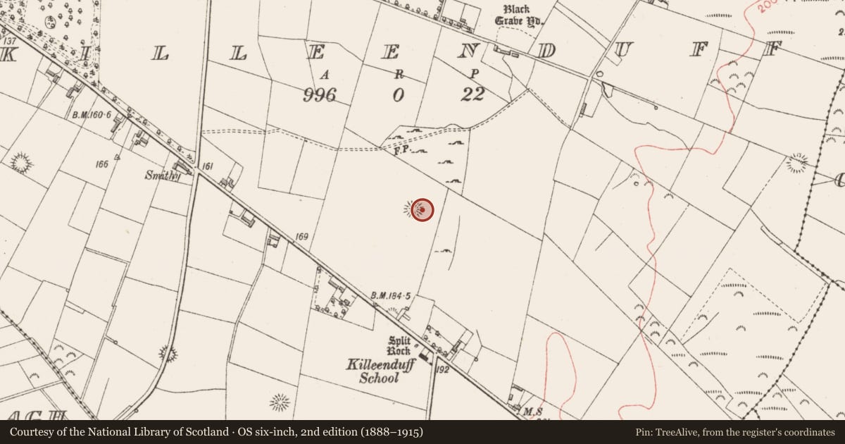 Ordnance Survey six-inch map, 2nd edition (1888–1915) covering the location of Ringfort - rath, Killeenduff, County Sligo, with a pin at the register's coordinates