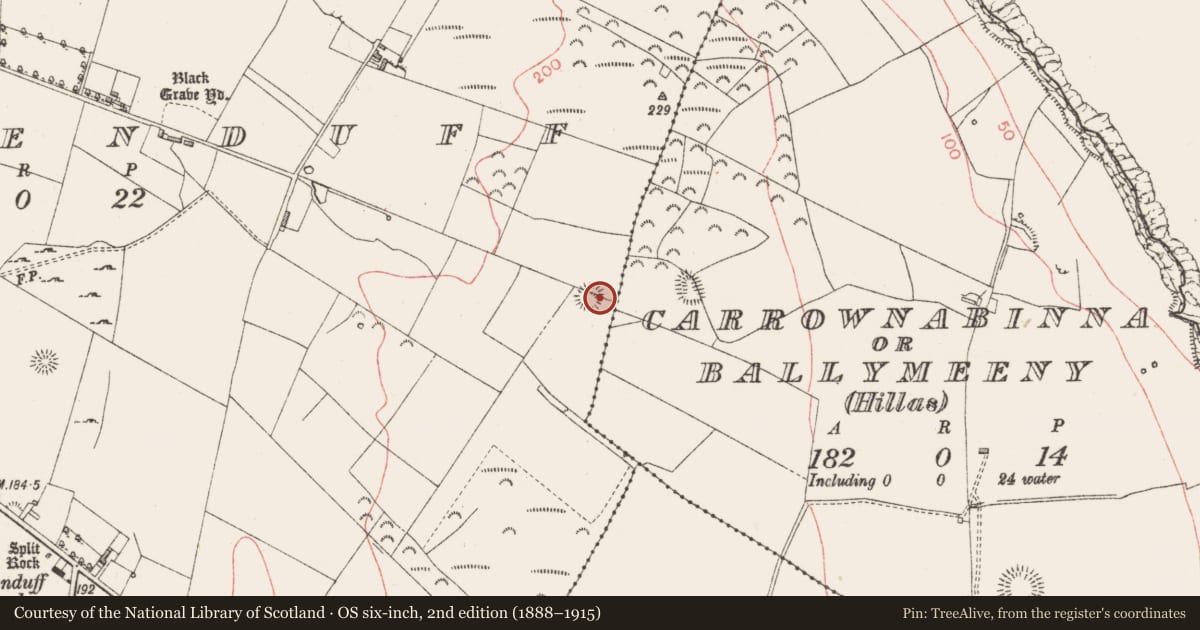 Ordnance Survey six-inch map, 2nd edition (1888–1915) covering the location of Ringfort - rath, Killeenduff, County Sligo, with a pin at the register's coordinates