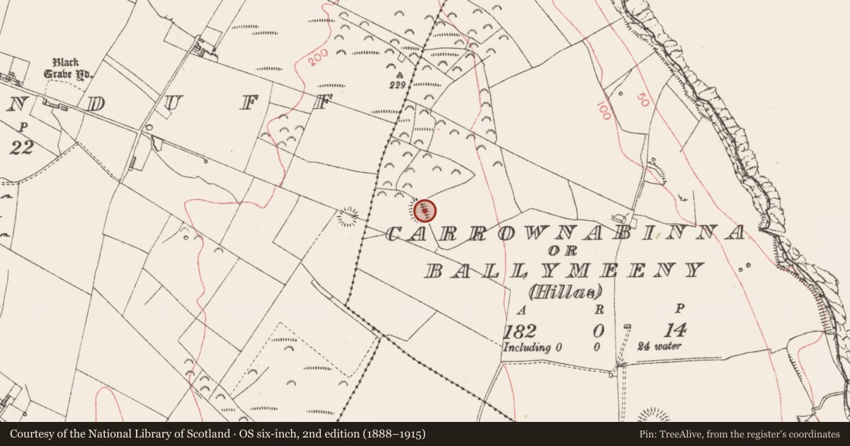 Ordnance Survey six-inch map, 2nd edition (1888–1915) covering the location of Ringfort - rath, Carrownabinna Or Ballymeeny (Hillas), County Sligo, with a pin at the register's coordinates