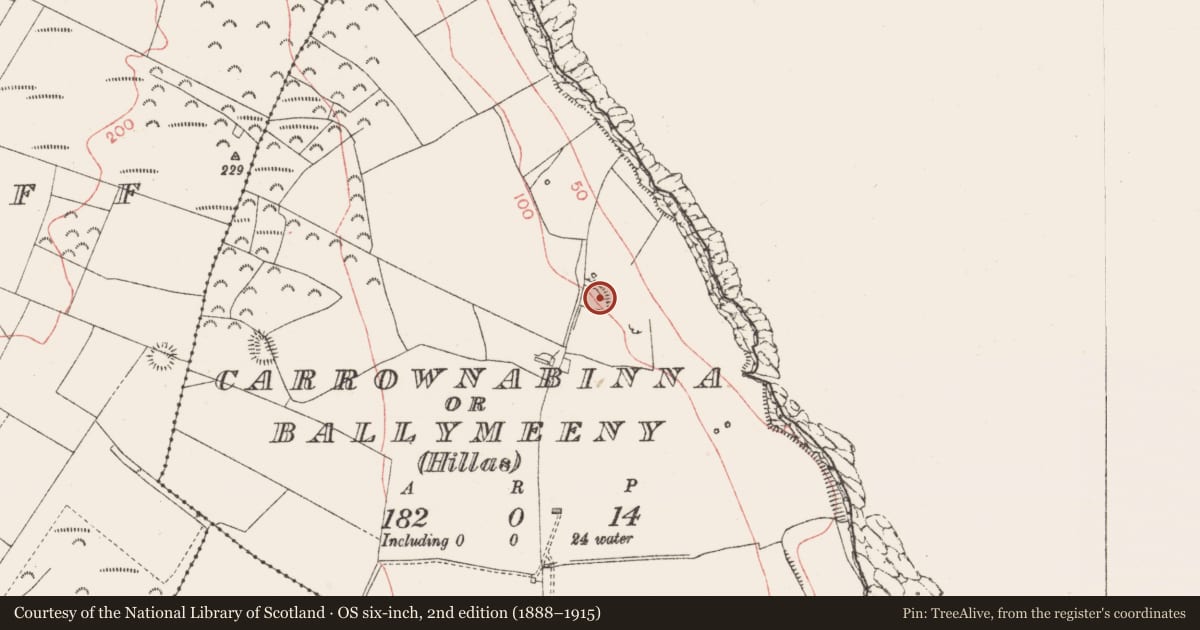 Ordnance Survey six-inch map, 2nd edition (1888–1915) covering the location of Enclosure, Carrownabinna Or Ballymeeny (Hillas), County Sligo, with a pin at the register's coordinates