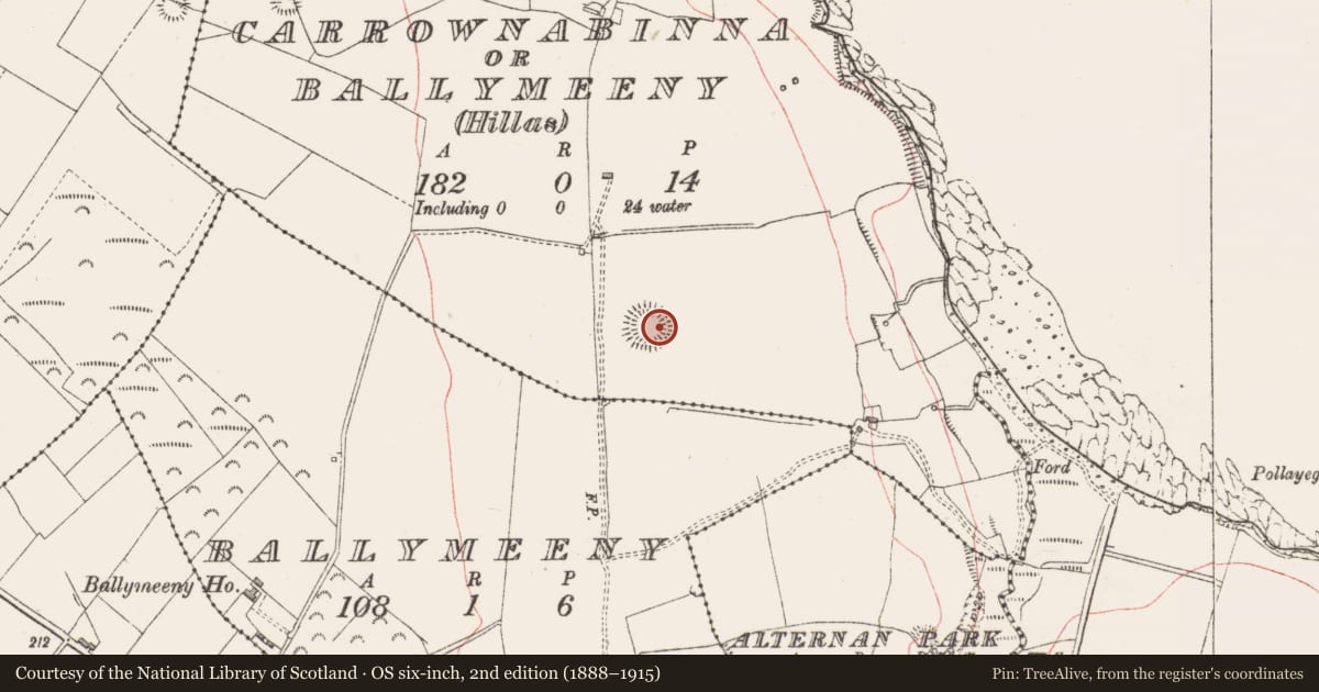 Ordnance Survey six-inch map, 2nd edition (1888–1915) covering the location of Barrow - ring-barrow, Carrownabinna Or Ballymeeny (Hillas), County Sligo, with a pin at the register's coordinates