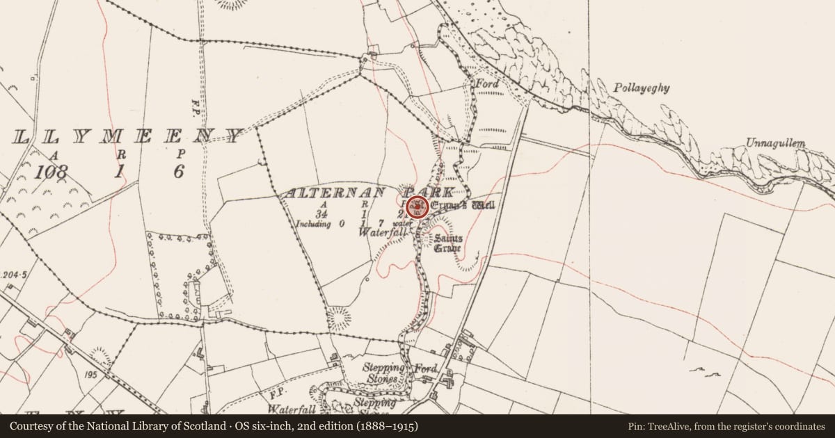Ordnance Survey six-inch map, 2nd edition (1888–1915) covering the location of Ritual site - holy well, Alternan Park, County Sligo, with a pin at the register's coordinates
