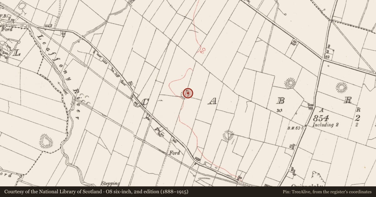 Ordnance Survey six-inch map, 2nd edition (1888–1915) covering the location of Ringfort - unclassified, Cabragh, County Sligo, with a pin at the register's coordinates