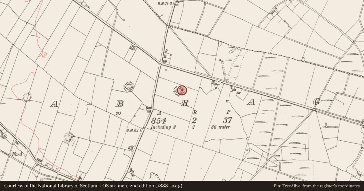 Ordnance Survey six-inch map, 2nd edition (1888–1915) covering the location of Souterrain, Cabragh, County Sligo, with a pin at the register's coordinates