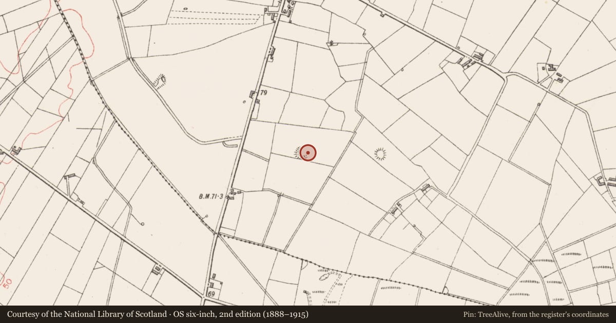 Ordnance Survey six-inch map, 2nd edition (1888–1915) covering the location of Ringfort - rath, Rathlee, County Sligo, with a pin at the register's coordinates