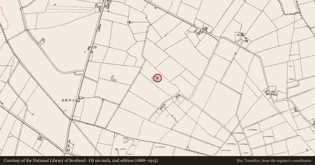 Ordnance Survey six-inch map, 2nd edition (1888–1915) covering the location of Ringfort - rath, Rathlee, County Sligo, with a pin at the register's coordinates