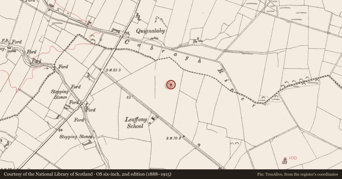 Ordnance Survey six-inch map, 2nd edition (1888–1915) covering the location of Ringfort - rath, Leaffony, County Sligo, with a pin at the register's coordinates
