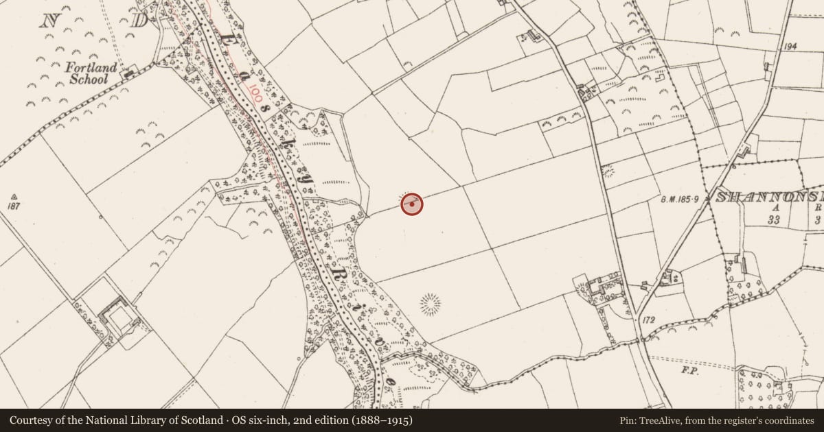 Ordnance Survey six-inch map, 2nd edition (1888–1915) covering the location of Ringfort - unclassified, Cloonagleavragh, County Sligo, with a pin at the register's coordinates