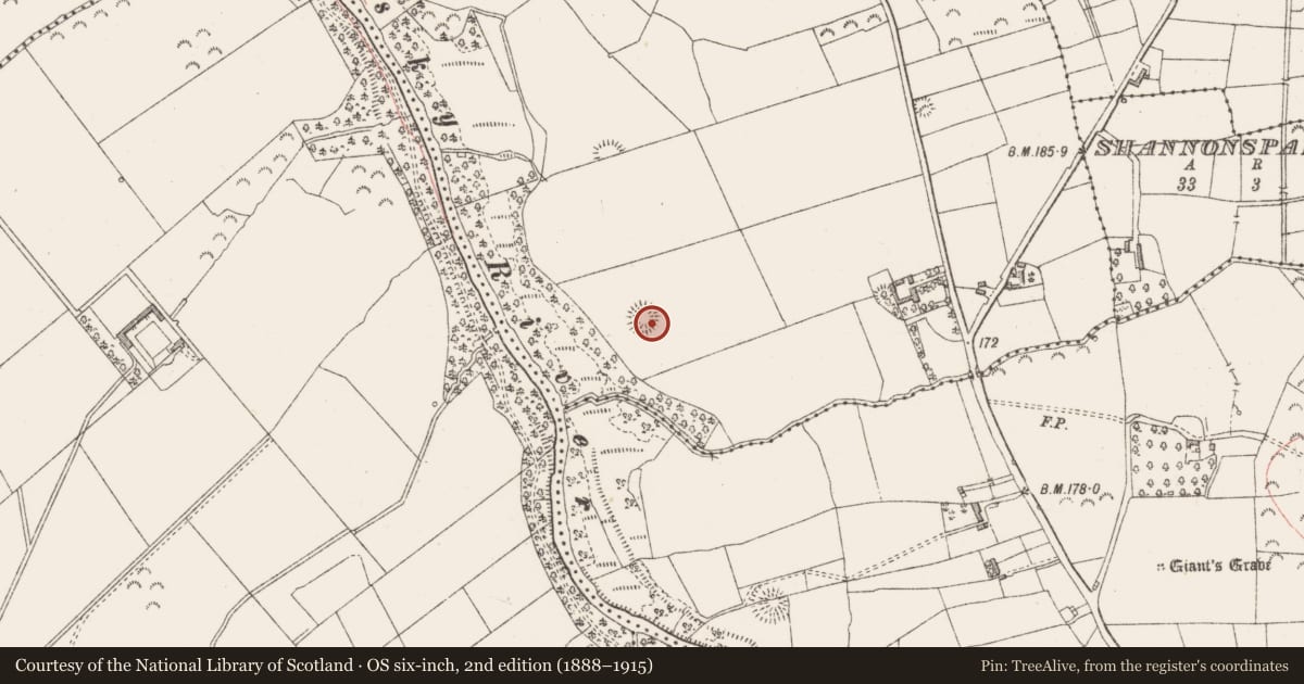 Ordnance Survey six-inch map, 2nd edition (1888–1915) covering the location of Ringfort - rath, Cloonagleavragh, County Sligo, with a pin at the register's coordinates
