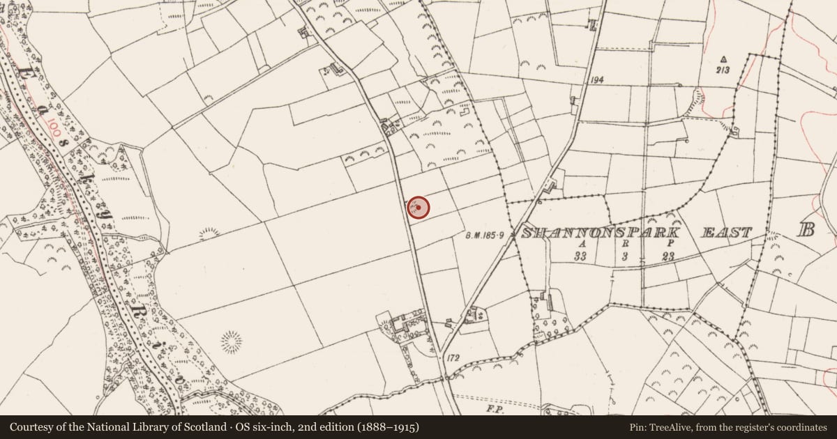 Ordnance Survey six-inch map, 2nd edition (1888–1915) covering the location of Ringfort - unclassified, Cloonagleavragh, County Sligo, with a pin at the register's coordinates