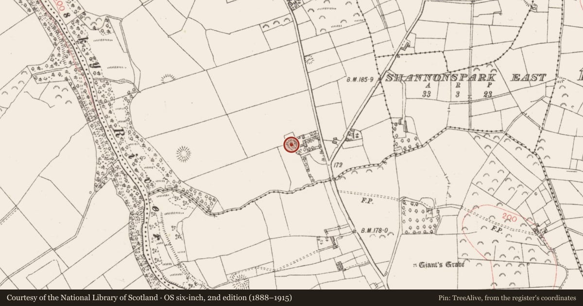 Ordnance Survey six-inch map, 2nd edition (1888–1915) covering the location of Ringfort - unclassified, Cloonagleavragh, County Sligo, with a pin at the register's coordinates