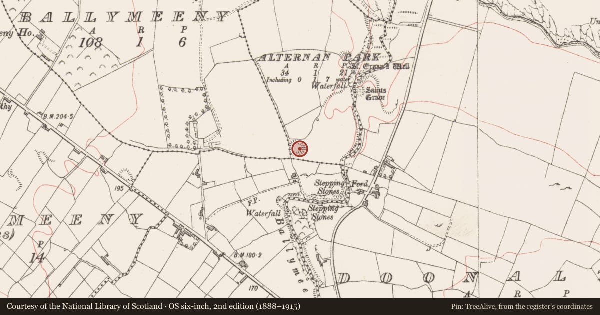 Ordnance Survey six-inch map, 2nd edition (1888–1915) covering the location of Ringfort - rath, Alternan Park, County Sligo, with a pin at the register's coordinates