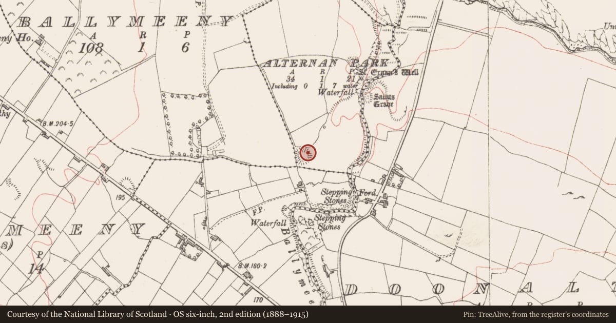 Ordnance Survey six-inch map, 2nd edition (1888–1915) covering the location of Hut site, Alternan Park, County Sligo, with a pin at the register's coordinates