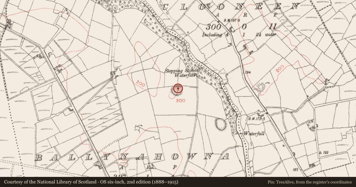 Ordnance Survey six-inch map, 2nd edition (1888–1915) covering the location of Hut site, Ballynahowna, County Sligo, with a pin at the register's coordinates