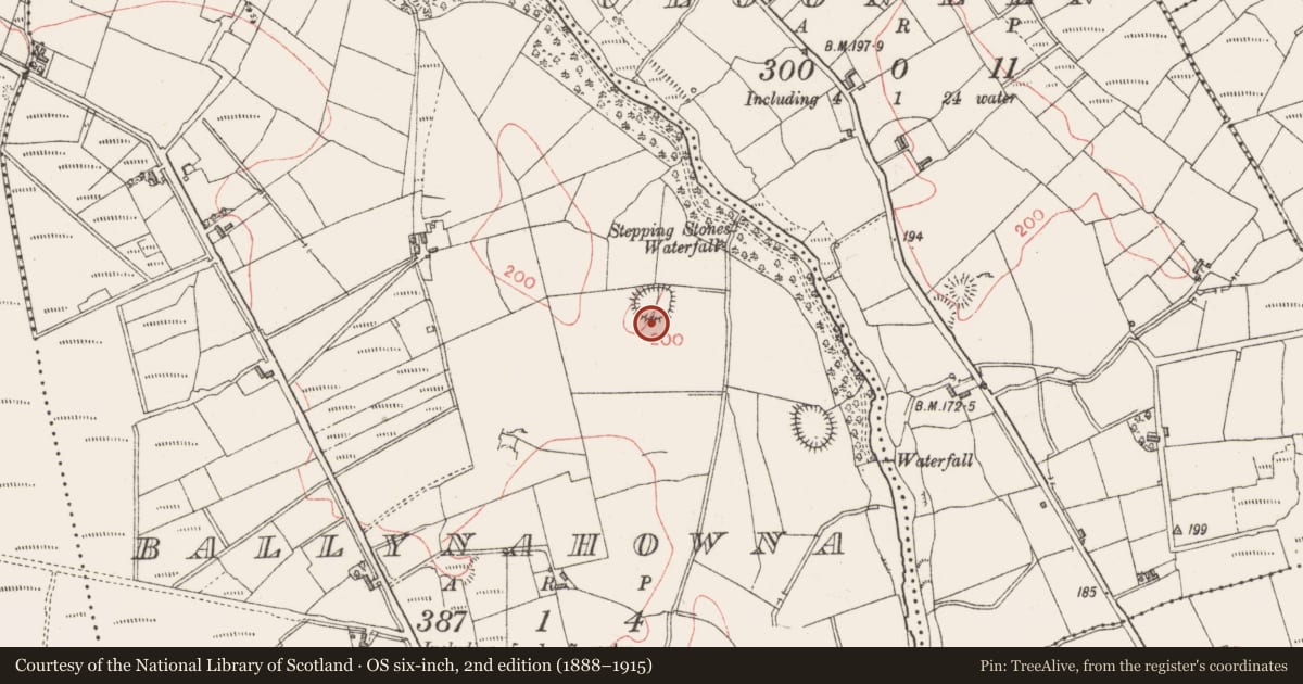 Ordnance Survey six-inch map, 2nd edition (1888–1915) covering the location of Structure, Ballynahowna, County Sligo, with a pin at the register's coordinates