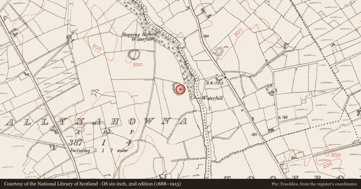 Ordnance Survey six-inch map, 2nd edition (1888–1915) covering the location of Ringfort - rath, Ballynahowna, County Sligo, with a pin at the register's coordinates