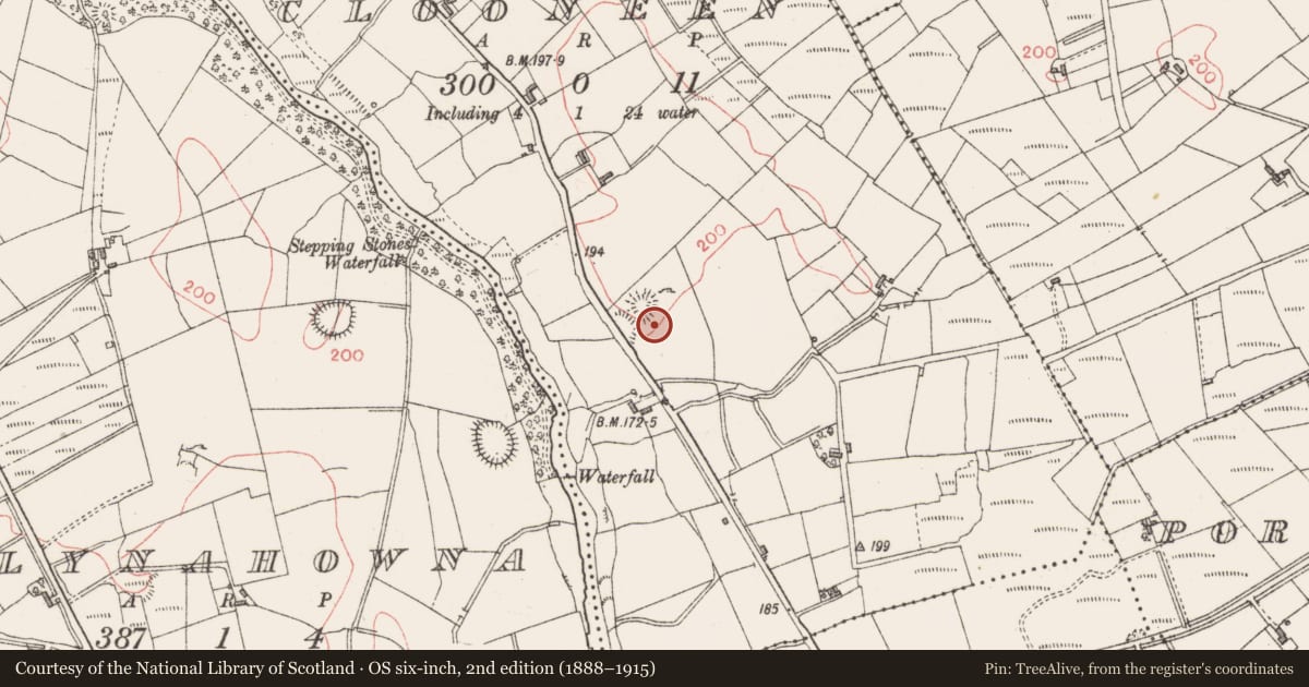 Ordnance Survey six-inch map, 2nd edition (1888–1915) covering the location of Hut site, Clooneen, County Sligo, with a pin at the register's coordinates