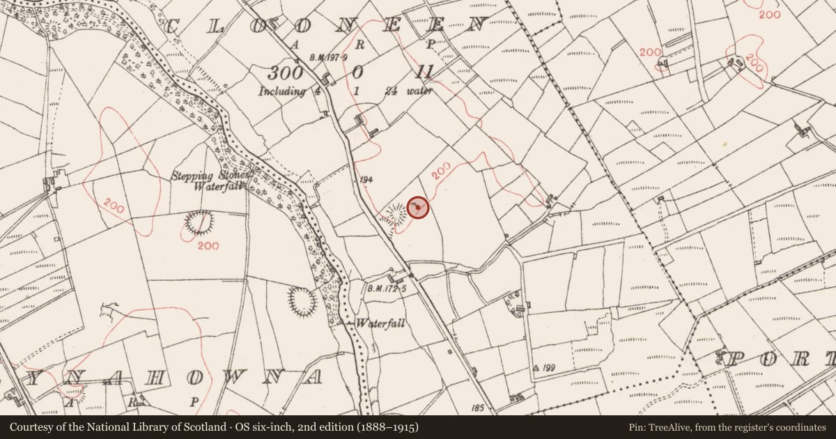 Ordnance Survey six-inch map, 2nd edition (1888–1915) covering the location of Field system, Clooneen, County Sligo, with a pin at the register's coordinates