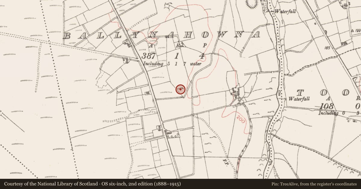 Ordnance Survey six-inch map, 2nd edition (1888–1915) covering the location of Megalithic tomb - court tomb, Ballynahowna, County Sligo, with a pin at the register's coordinates