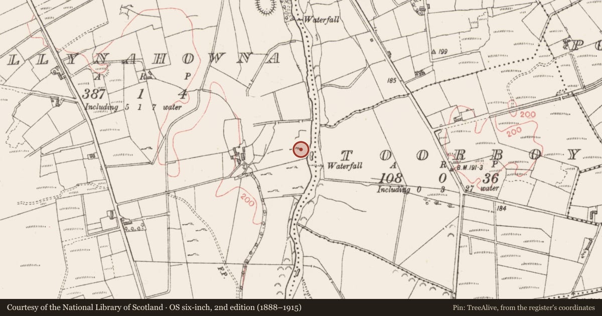 Ordnance Survey six-inch map, 2nd edition (1888–1915) covering the location of Castle - tower house, Ballynahowna, County Sligo, with a pin at the register's coordinates