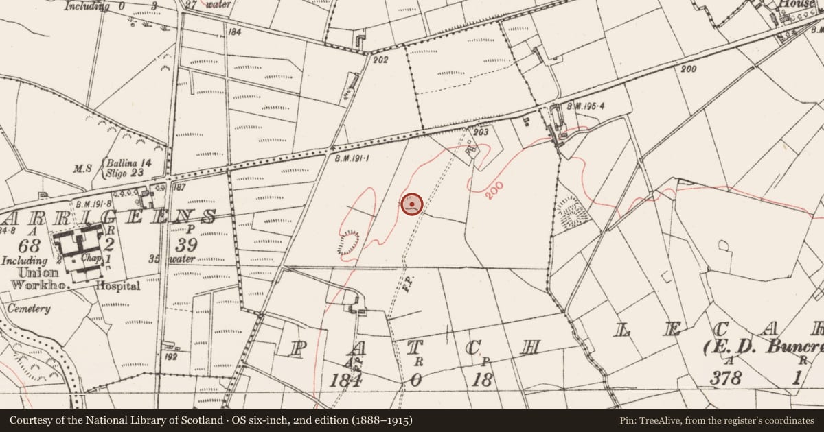 Ordnance Survey six-inch map, 2nd edition (1888–1915) covering the location of Ringfort - unclassified, Patch, County Sligo, with a pin at the register's coordinates