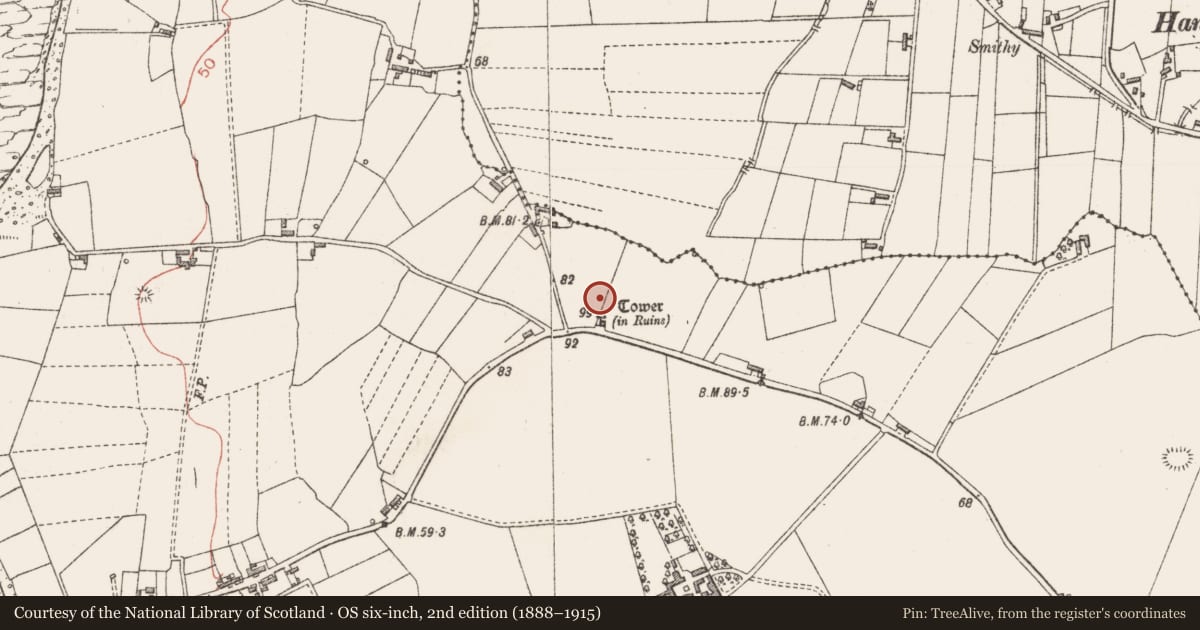 Ordnance Survey six-inch map, 2nd edition (1888–1915) covering the location of Souterrain, Rathlee, County Sligo, with a pin at the register's coordinates