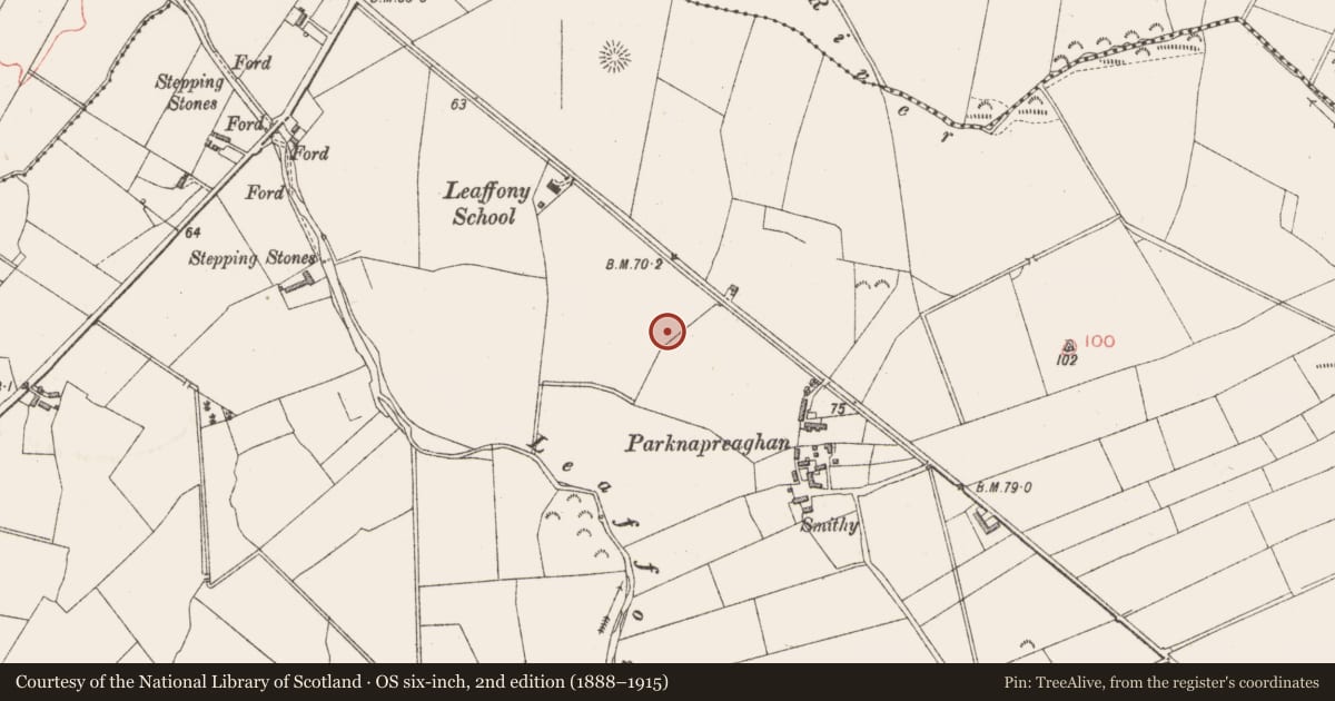 Ordnance Survey six-inch map, 2nd edition (1888–1915) covering the location of Enclosure, Leaffony, County Sligo, with a pin at the register's coordinates