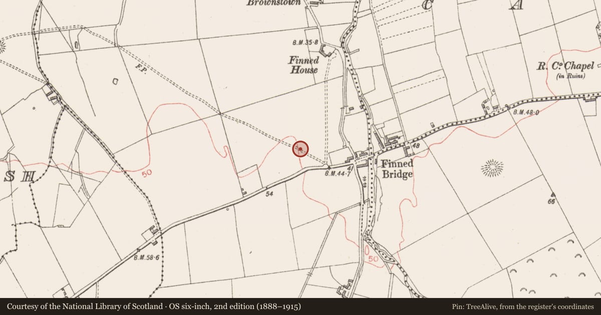 Ordnance Survey six-inch map, 2nd edition (1888–1915) covering the location of Megalithic structure, Finned, County Sligo, with a pin at the register's coordinates
